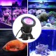 Unterwasserbeleuchtung Unterwasserleuchte Strahler Aquarium Licht Wasserdichtes IP 68 LED Unterwasser Strahler mit Fernbedienung für Wasser Garten Teich Fisch Tankmit 1 Strahler - BJIMNKQB