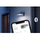 Steinel Außenleuchte L 800 C anthrazit LED Downlight ohne Sensor Wandlampe per Bluetooth App vernetzbar warmweiß 1 Stück 1er Pack - BGUWZN8H