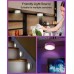 RGB LED Spot Akku USB Aufladbar 1000mAh Batteriebetrieben Farbwechsel Vitrinenbeleuchtung Kabellos mit Fernbedienung und Timer Dimmbar Unterbauleuchte Küche Rund Magnetisch Touch Schrankbeleuchtung - BGNSQ94M