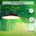 ENCOFT Solar Hängelampen für Außen LED Solarlampen für Außen Hängend mit Fernbedienung IP65 Wasserdichte 4W Solarleuchten für Garten Bauernhaus Camping mit 3M Kabel 2 Licht,Warmweiß - BLHYPEWV