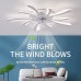 REYDELUZ Deckenventilator mit Beleuchtung Modern LED Dimmbar Deckenbeleuchtung mit Ventilator Lichter Design Deckenventilator für Schlafzimmer Küche Esszimmer Lampen - BTTRN479