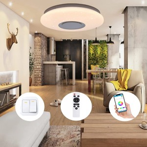 LED Deckenleuchte Dimmbar mit Bluetooth Lautsprecher,32W RGB Deckenlampe Farbwechsel Fernbedienung oder APP-Steuerung,3200LM IP54,3000K-6500K,Kaltweiß+Warmweiß ,LED Deckenlampe für Schlafzimmer - BNXON5AK