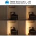 EDISHINE LED Stehlampe Dimmbar Stehlampe Wohnzimmer 3000K warmweiß Stehleuchte Modern mit Fußschalter 146cm Lichtsäule für Wohnzimmer Schlafzimmer und Büro - BCHBSK2H