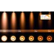 Lucide XYRUS Deckenstrahler Ø 9 cm LED Dim to warm GU10-1x5W 2200K 3000K Weiß - BRJHC2BM