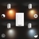 Philips Hue White Amb. LED 1-er Spotleuchte Pillar weiß dimmbar alle Weißschattierungen steuerbar via App kompatibel mit  Alexa Echo Echo Dot - BYPBTKAW