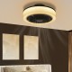 ZMH Led deckenventilator mit Beleuchtung 39.5CM Modern Groß Deckenlampe Fan Leise Fernbedienung Timing Wohnzimmerlampe Dimmbar Deckenleuchte Ventilator für Schlafzimmer Wohnzimmer Küche Esszimmer - BZFQKK4K