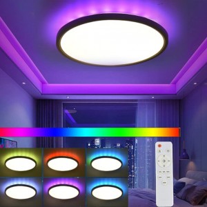 Modern LED Deckenlampe RGB Dimmbar mit Fernbedienung 24W Deckenleuchte Panel mit Farbwechsel Runden Lampe 7 Farbwechsel für Wohnzimmer Schlafzimmer Kinderzimmer Badezimmer - BLKFJEDW