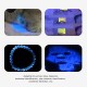 Blacklight Flashlights UV-Taschenlampe Tragbares Mini-UV-Licht 365 Nm Batteriebetriebenes Energiesparendes UV-Taschenlampenlicht mit Schwarzem Spiegel Zur Identifizierung von Katzenmoosen - BNVKA62K