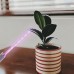 Mipcase Wachstum Sonnenähnliche USB-Lichter Pflanzen Pflanzen Blumenstreifen Nützlich Wachsend Voll Multifunktionsfüller Flexible Hydroponik Fülllampe Licht Led Bonsai Streifen: - BJUXD7QN