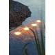 OASE 50508 LunAqua Maxi LED Set 3 Unterwasserbeleuchtung und Gartenbeleuchtung mit warmweißen Lichtakzenten energiesparend und ideal für Gartenteich Fischteich Pool Brunnen Außenbereich - BMHAR755